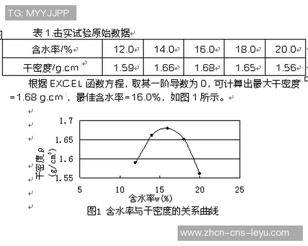 足球联赛规程详解与实施细则探讨及其对赛事公平性的影响分析